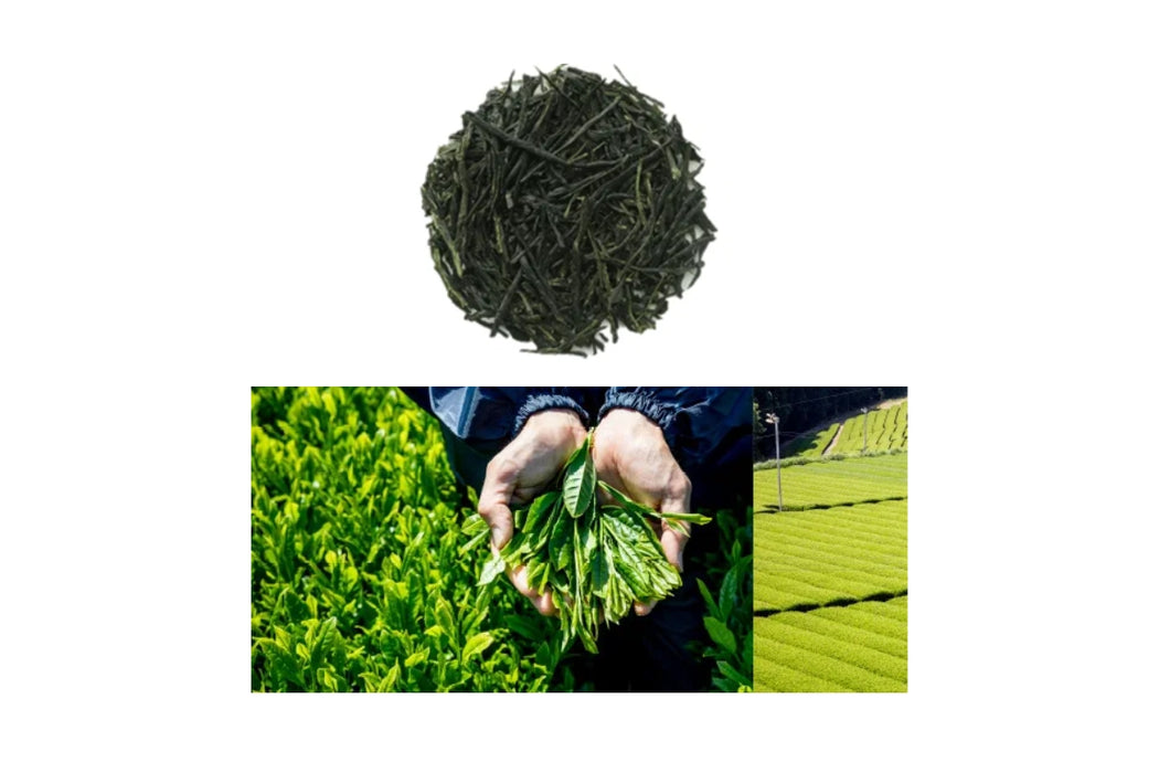 Tea Leaves (Various) / 抹茶（セレモニー用）深蒸し煎茶